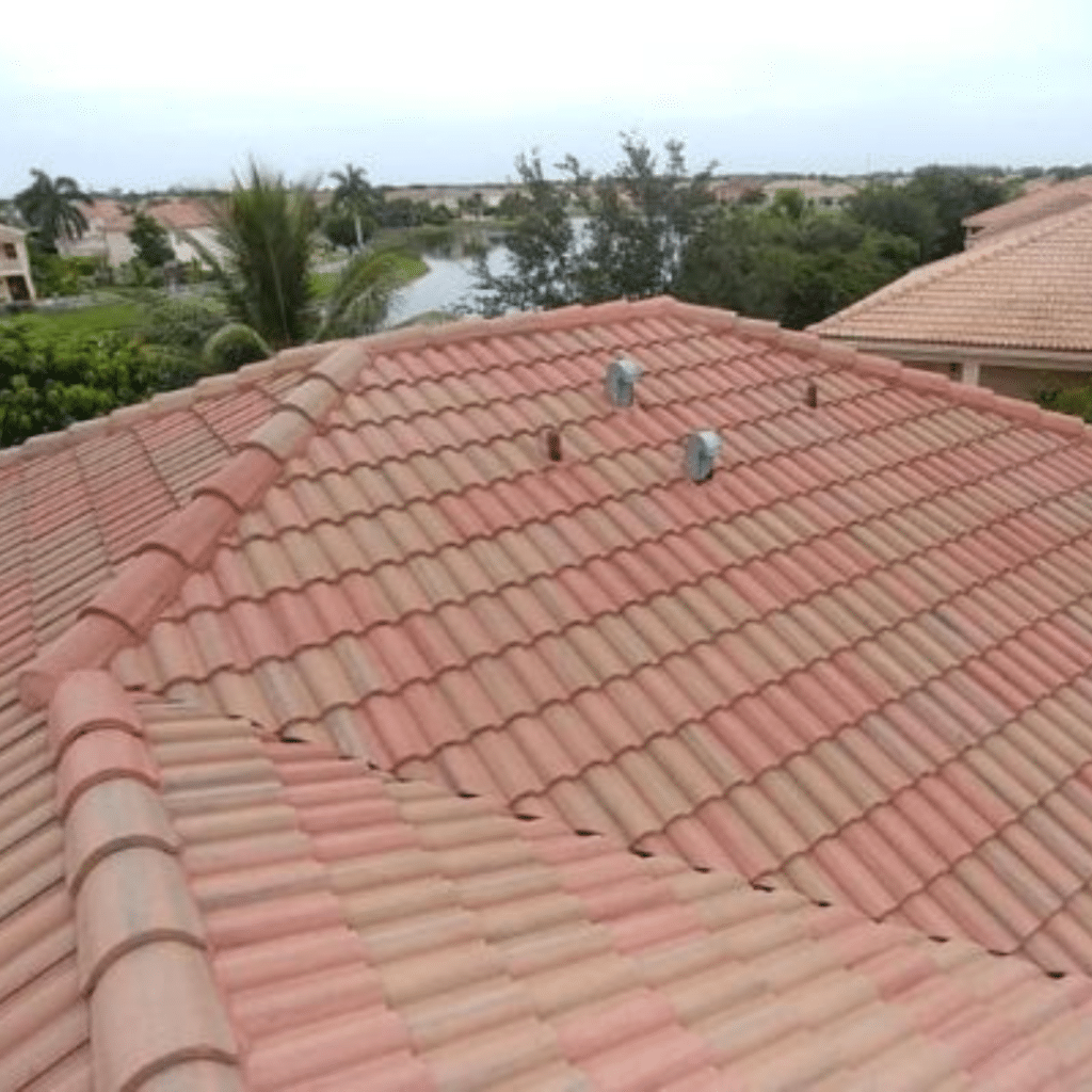 Tile Roof Cleaning